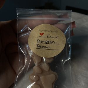 Pumpkin Pecan Scented Waxmelt