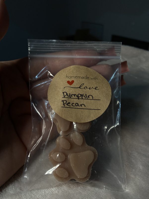 Pumpkin Pecan Scented Waxmelt