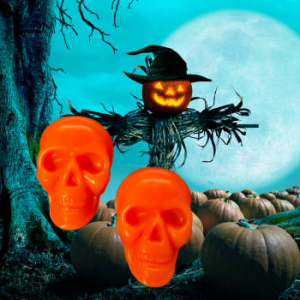 Pumpkin Patch Scented Waxmelt